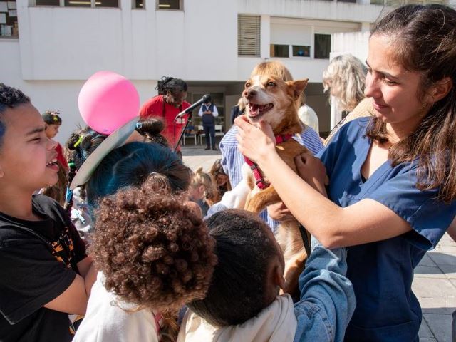 O Veterinário foi à escola