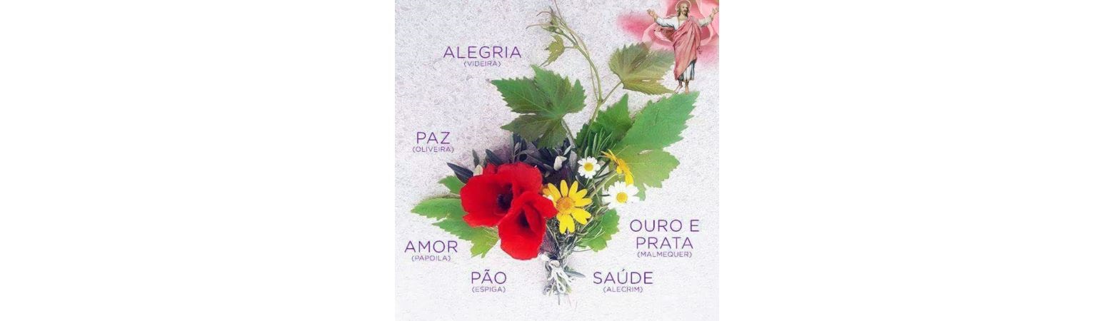 Dia da Espiga
