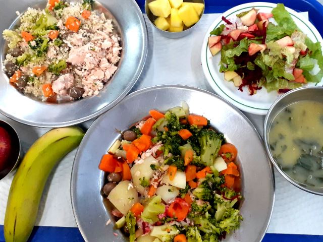 EMENTA ESCOLAR - 16 a 20 de março 