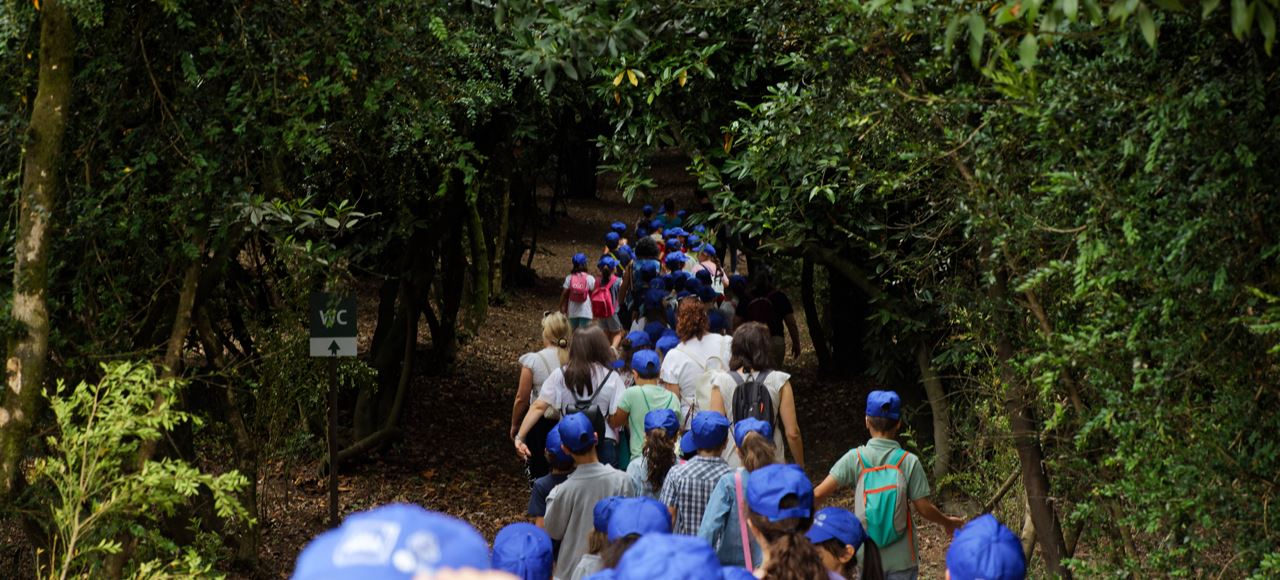 Mata do Serrado já abriu ao público