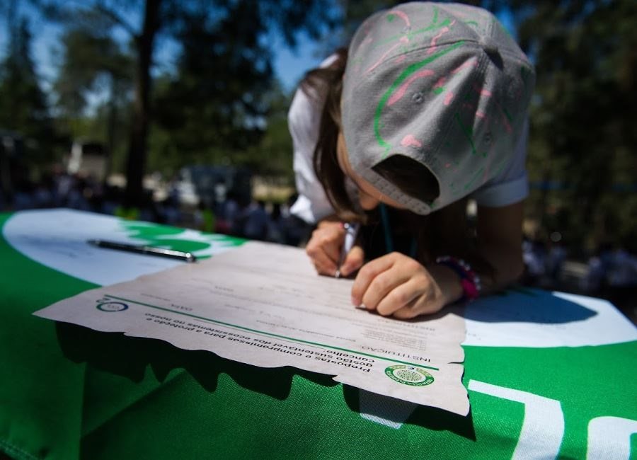 13 escolas viseenses conquistam Bandeira Verde