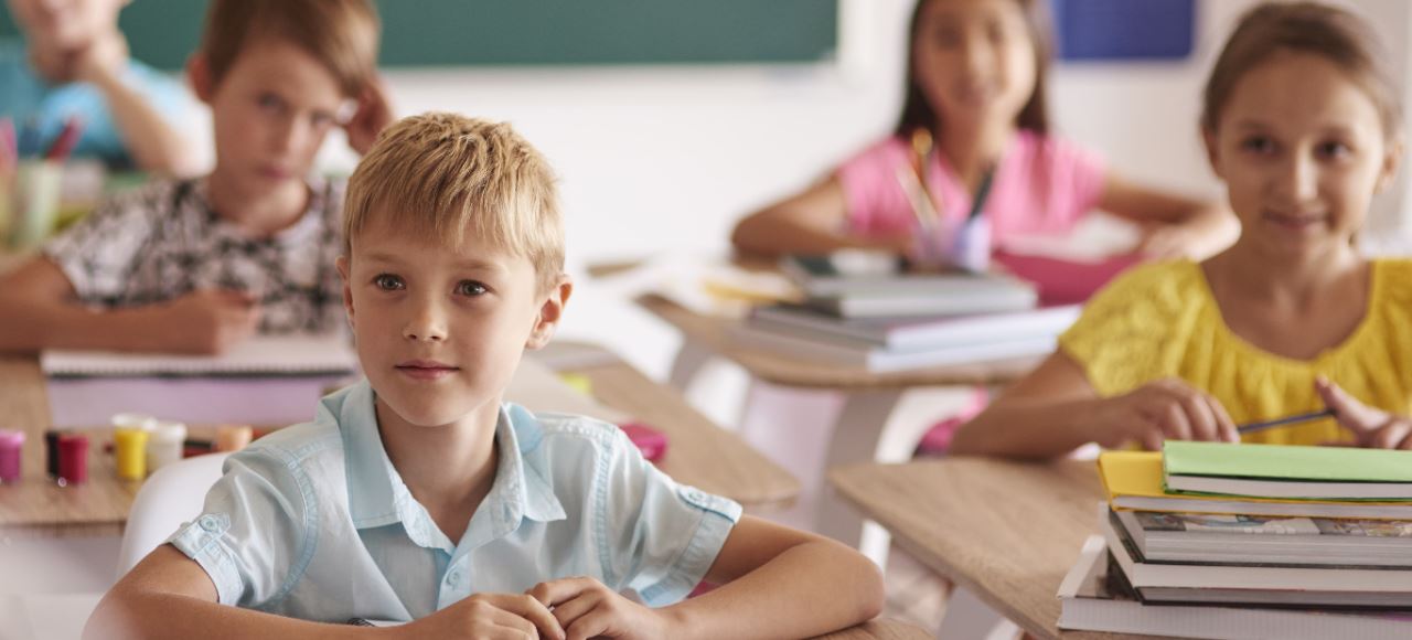 Demografia, Educação e Formação