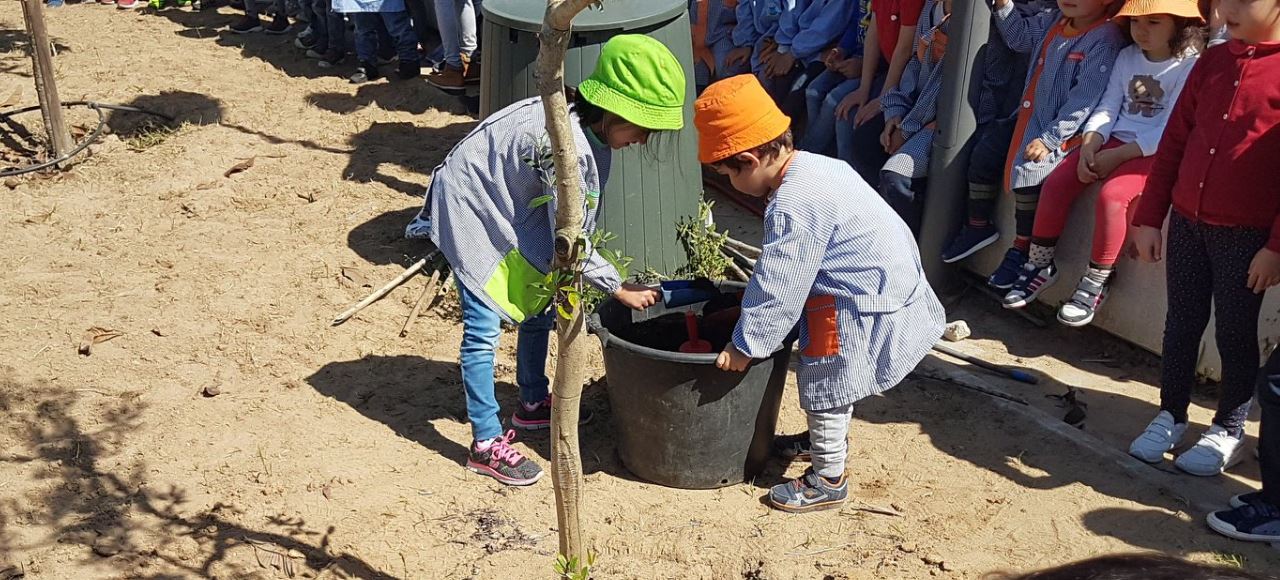 Programa Eco-Escolas
