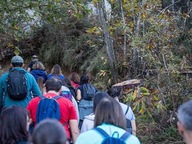 Percurso pedestre e trail pelos “Caminhos do Vale Urtigosa” no Festival da Castanha 2023