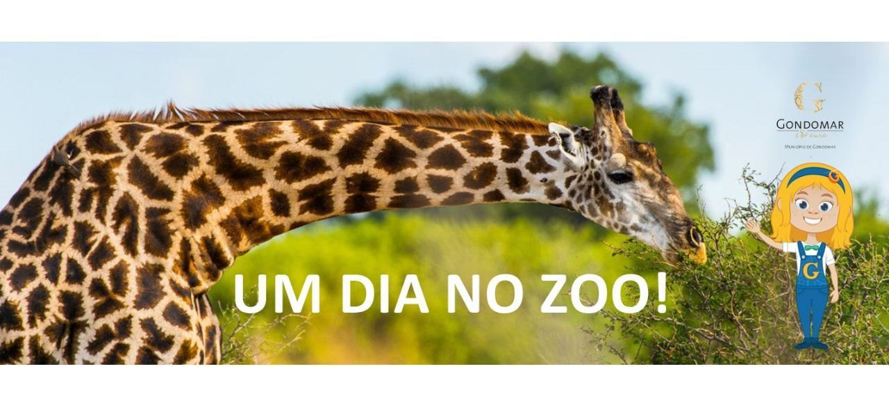 Um Dia no Zoo...