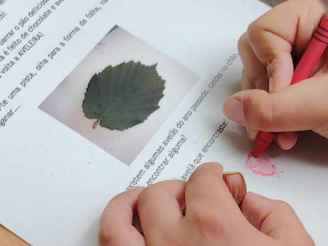 Conhecer as Árvores do Parque