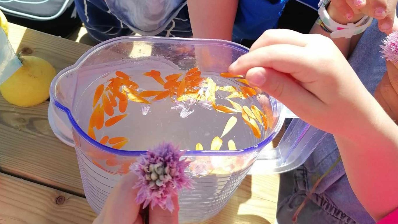 Uma mão cheia de flores, para comer e chorar por mais
