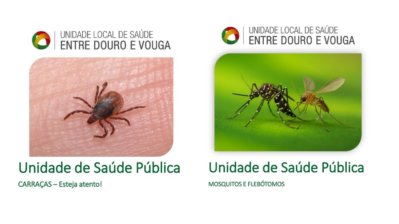 Programa REVIVE - Vigilância de Vetores