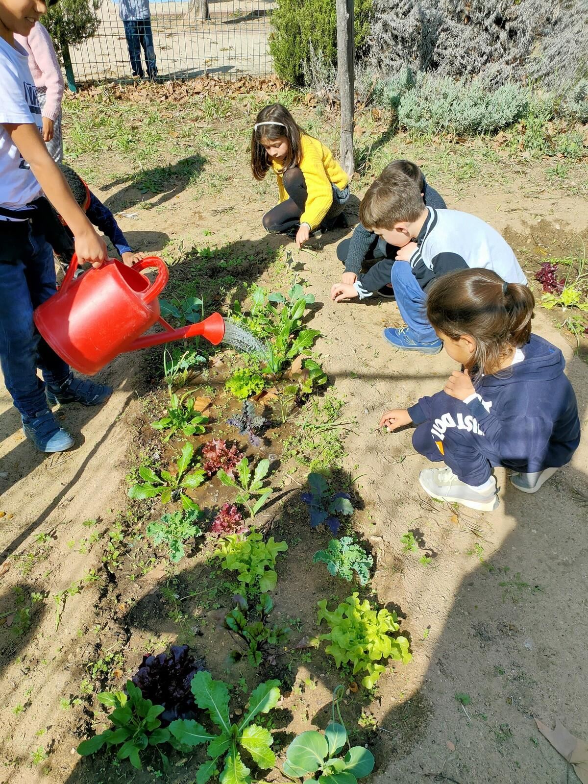 Agricultura Biológica e Compostagem na Escola