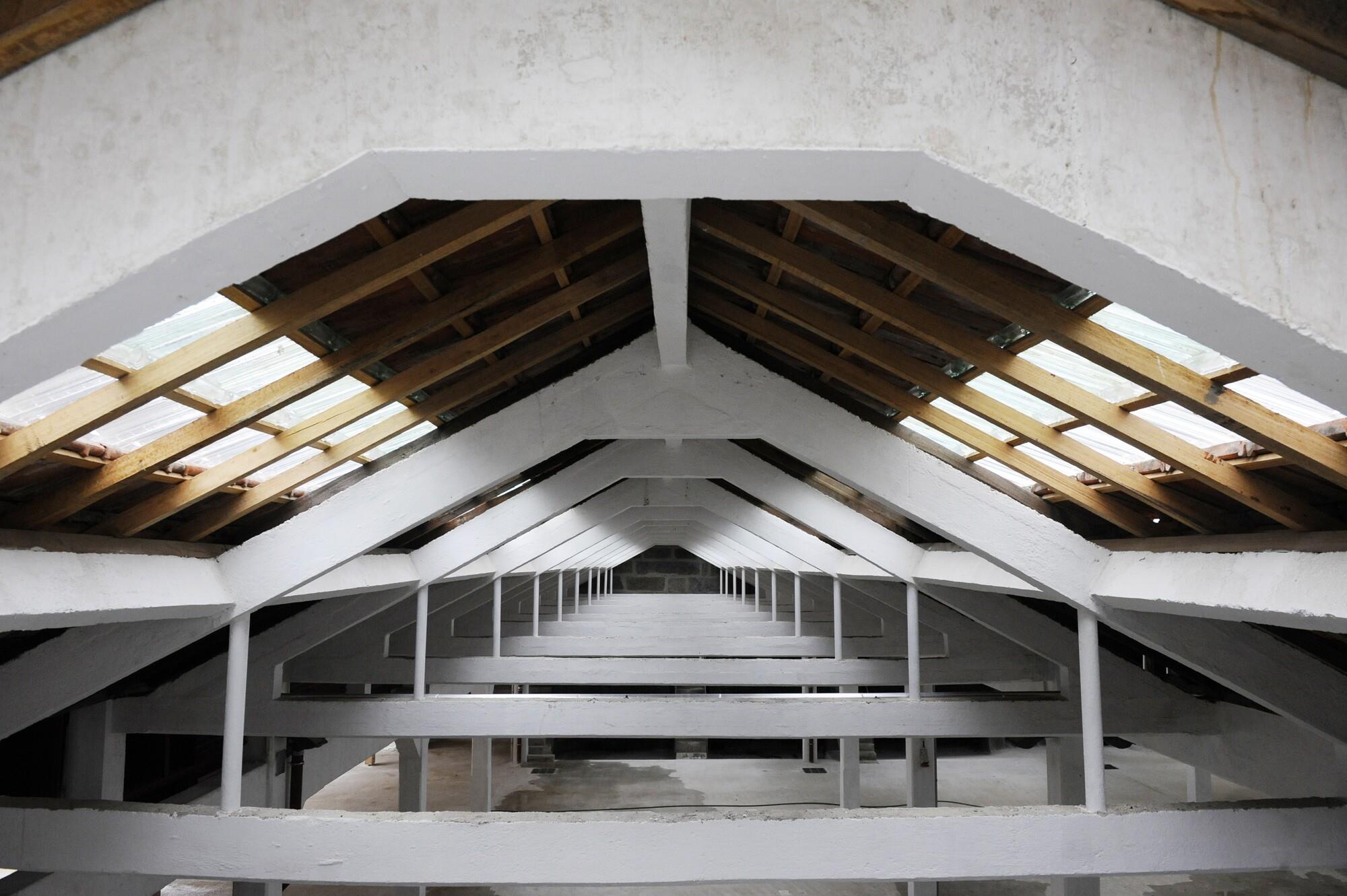 CURTIR CIÊNCIA promove Feira Internacional de Ciência 