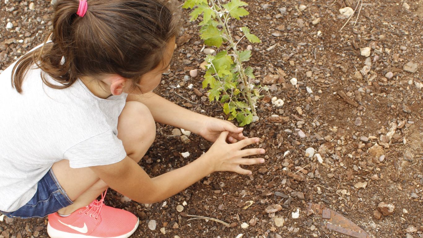 PEDIME: JOGOS TRACIONAIS SÃO MOTIVO DE APRENDIZAGEM CONSTANTE PARA OS ALUNOS DO MÉDIO TEJO