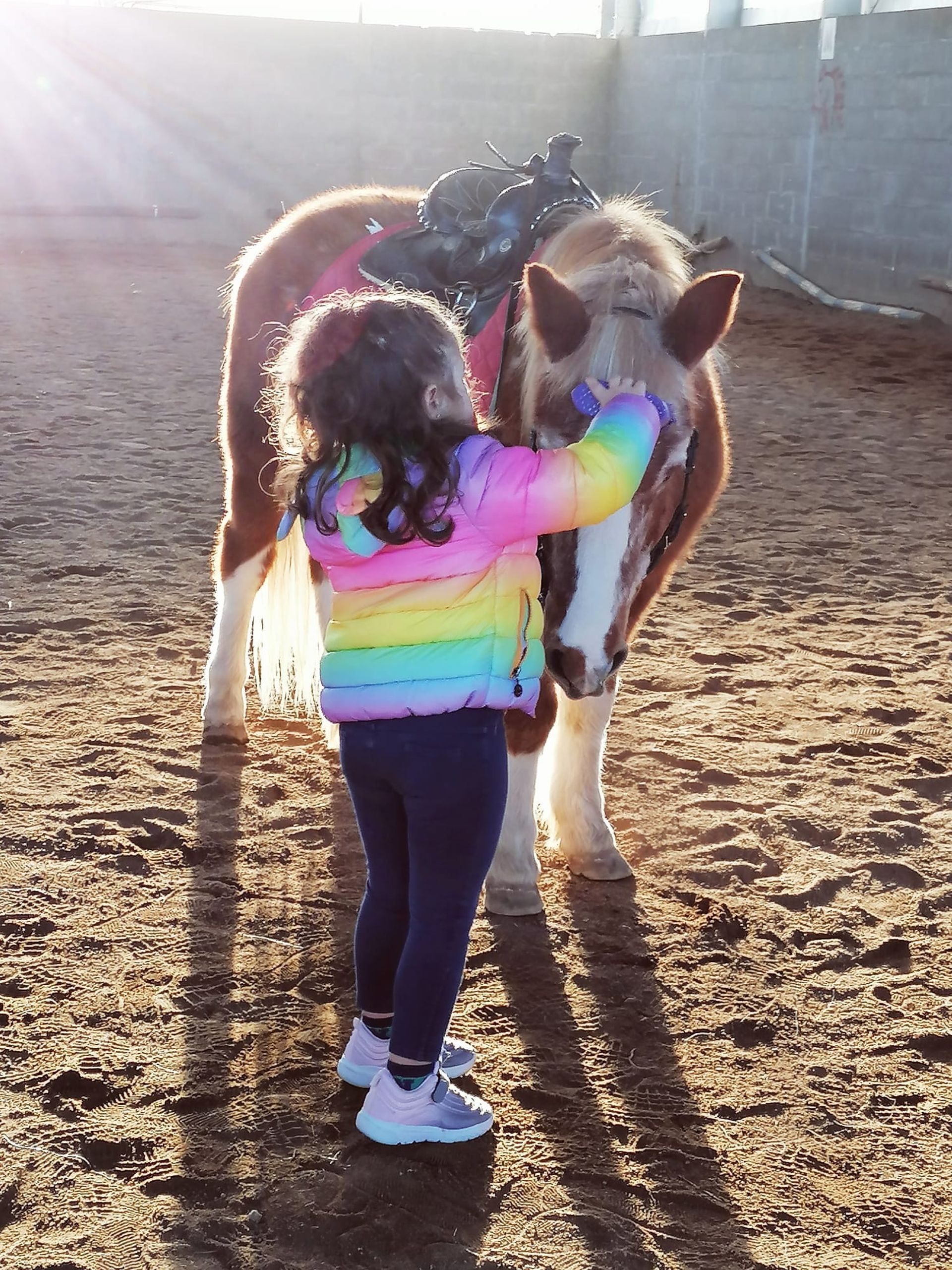 EducArte dinamizou mais uma atividade para as famílias