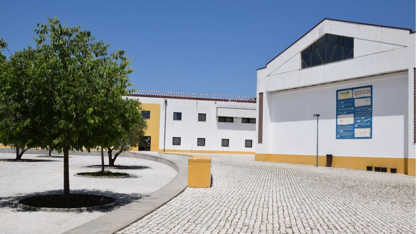 EB Manuel Ferreira Patrício