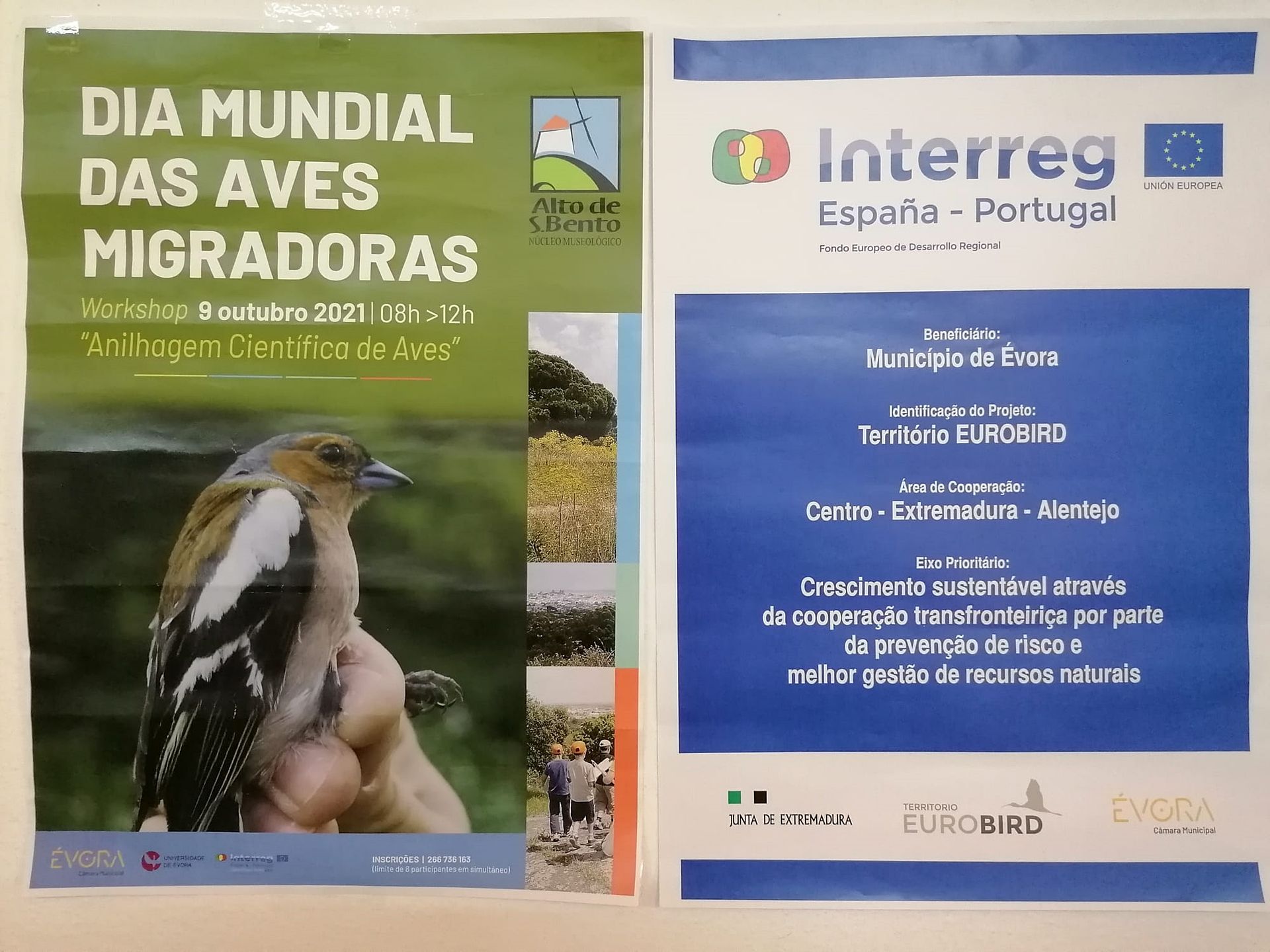 Dia Mundial das Aves Migradoras celebrado em Évora
